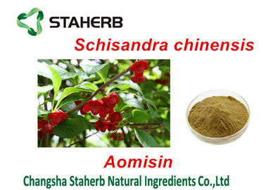 China Chinesische Magnolien-Rebfrucht-antibakterielle Pflanzenauszüge, Kräuterauszug-Pulver fournisseur