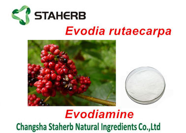 China Auszug-organisches Pflanzenauszüge Evodiamine-Pulver Evodia Rutaecarpa für pharmazeutisches fournisseur