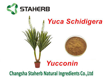 China Yucca Schidigera-Auszug-natürliches Zufuhr-Zusätze Yocoin-Yucca-Pulver fournisseur