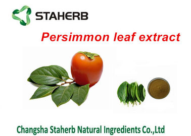 China Persimone-Blatt-Auszug-reines natürliches Pflanzenauszüge Folium-Kakipflaumenbaum-Auszug-Pulver fournisseur