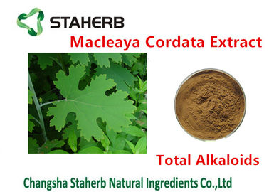 China Antibakterielle Farbe der Anlagenmacleaya Cordata-Auszug-Gesamtalkaloid-20%-60% Brown fournisseur
