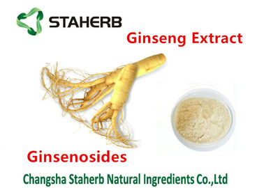 China Reiner natürlicher Ginseng-Pulver-Nahrungsmittelgrad Betriebsginseng-Auszug Ginsenosides 30% fournisseur