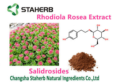 China Weiblicher Auszug-reine natürliche Pflanzenauszüge Salidrosides 3% Gesundheit Rhodiola Rosea fournisseur