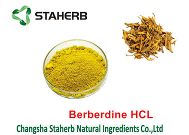 China Coptis-Auszug-chinensis reiner natürlicher Pflanzenauszüge Berberine HCL 98% fournisseur