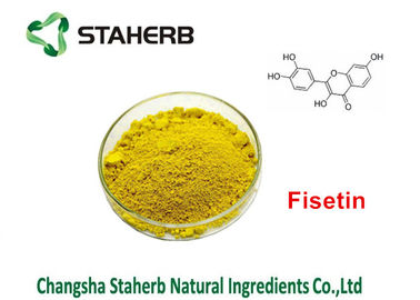 China Cotinus Coggygria-Grün-Pflanzenauszug Smoketree-Auszug Fisetin 50% - 95% fournisseur