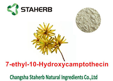 China Cas keine 86639-52-3 reinen natürlichen Pflanzenauszüge 7 - Äthyl - 10 - Hydroxycamptothecin-Pulver fournisseur
