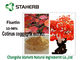 Pulver Cotinus Coggygria-Auszug der Rauch-Baum-organischer Pflanzenauszug-50- 98% Fisetin fournisseur
