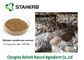 Antibakterielle Pflanzenauszüge Lentinan, starker Shiitake-Pilz-Auszug fournisseur