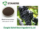 Schwarze Johannisbeere-Frucht starkes Pflanzenauszug-Pulver-Beeren-Anthocyanin-anti- Altern fournisseur