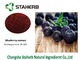 Organisches Heidelbeerblaubeerauszug-Pulver-purpurrotes Farbanthocyanidin 5%-30% fournisseur