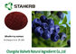 Organisches Heidelbeerblaubeerauszug-Pulver-purpurrotes Farbanthocyanidin 5%-30% fournisseur