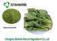 Organisches Spinats-Blatt-Auszug-Pulver-Vitamin K enthielt Naturkost-Pigment fournisseur
