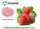 Erdbeerauszug, Erdbeerpulver, Fruchtpulver, spraygetrocknetes Pulver, Vitamin A, Pflanzenauszug fournisseur