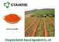 Getrockneter Karottensaft-Gemüseauszug-Pulver-Wurzel-Teil-Äthanol-Extraktions-anti- Krebs fournisseur