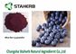Vaccinium-Beeren gefriertrockneten Blaubeerauszug-Pulver Pterostilbene-Bestandteil fournisseur