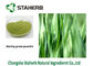 Grüne Farbspraygetrocknete Extraktion Kraut-Gersten-Gras-Saft-Pulver Gine fournisseur