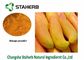 Reines entwässertes Frucht-Pulver, organisches Mango-Auszug-Pulver 5%-95% Mangiferin fournisseur