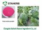 Wassermelonen-verbessern Auszug entwässerter Frucht-Pulver-Lebensmittel-Zusatzstoff Nährwert fournisseur