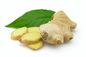 Ingwerauszug 5%, 10%, 20%, 50% Gingerol durch Rohstoffe SCFE-CO2 für gastro-intestinales fournisseur