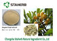 Loquatblatt-Auszug Maslinic saurer reine natürliche Pflanzenauszüge 4373-41-5 fournisseur