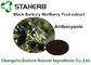 Schwarzer Frucht-Auszug Barbary Wolfberry, Naturkost-Bestandteile für Getränk fournisseur