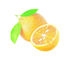 Zitrusfrucht Aurantium-Auszug-reines natürliches Pflanzenauszug-Hesperidin Cas kein 520-26-3 fournisseur
