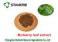 Maulbeerblatt-reine natürliche Pflanzenauszüge 1 - Pulver DNJ-Wirkstoff-12% fournisseur
