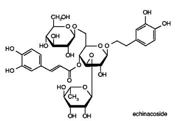 100% natürlicher Krautmedizin Echinacea purpurea Auszug/cichoric Säure 2%