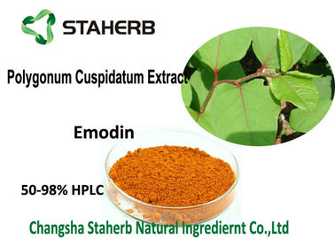 China 98% Emodin-Pulver-reine natürliche Pflanzenauszüge, Polygonum Cuspidatums-Wurzel-Auszug fournisseur