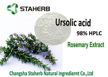 China Pflanzenauszüge Ursolic saures reines natürliches Loquat-Blatt/Rosemary-Auszug-Kosmetik fournisseur