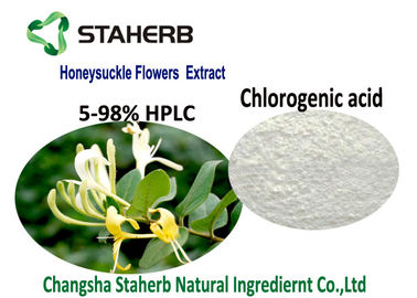 China Organische natürliche kosmetische Bestandteile, Geißblatt-Blumen-Auszug-Chlorogensäure 5-98% CAS 327 97 9 fournisseur