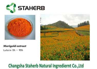 China Starker Farbstoff Pflanzenauszug der Ringelblume des Lutein-127-40-2 Auszug fournisseur