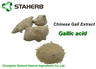 China Kosmetische reine natürliche Pflanzenauszüge, Gallnut-Auszug-Pulver-Gallussäure CAS 149 91 7 fournisseur