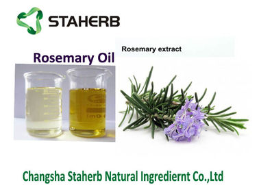 China Rosemary-Blatt Auszug-, Rosemary-ätherisches Öl für Nahrung und cosmetics.100% natürlicher Krautauszug fournisseur