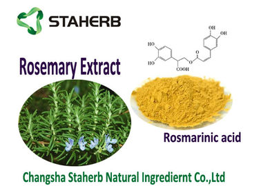 China Öllösliche Rosemary-Blatt-Pulver-hellgelbe Farbeüberkritische CO2 Extraktion fournisseur