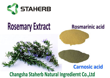 China Hellbrauner Pulver-Rosemary-Blatt-Auszug, organische Rosemary-Auszug-Tötungs-freie Radikale fournisseur