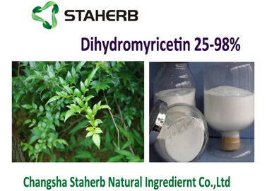 China Natürliches Auszug Rebtee Ampelopsis Grossedentata Pulver Dihydromyricetin DMY fournisseur