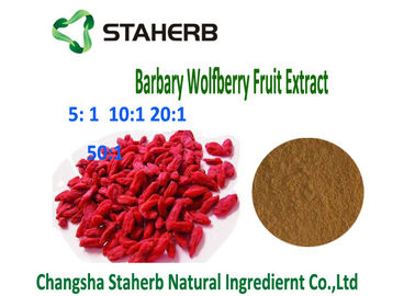China Natürlicher Beeren-Auszug 4/1 Barbary Wolfberry Goji 10/1 Verhältnis-Brown-Pulver-anti- Tumor fournisseur