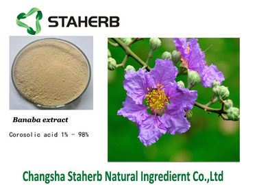 China Des Blatt-antibakteriellen Mittels Corosolic saure Banaba Pflanzenauszüge fournisseur
