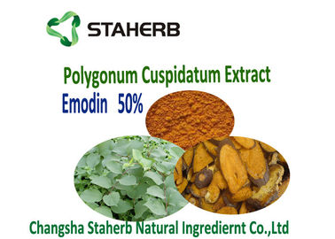 China Polygonum Cuspidatums-Wurzel-Auszug-Phytogenic Zufuhr-Zusätze Veterinär fournisseur