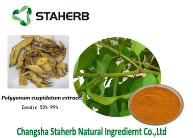 China Emodin-antibakterieller Pflanzenauszüge Polygonum cuspidatum Auszug 518-82-1 fournisseur