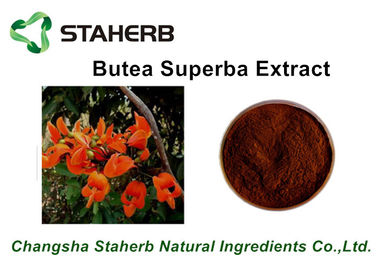 China Brown-Pulver-Kräuterauszug-Verhältnisse Butea superba Auszug Beta Sitosterol 10:1 durch TLC fournisseur