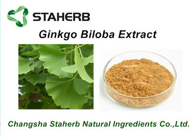 China Antibakterielle reine natürliche Pflanzenauszüge/Ginkgo Biloba-Auszug CAS-Nr. 90045-36-6 fournisseur