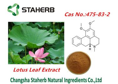 China Lotus-Blatt Gewicht, das Rohstoffe Nuciferine Cas no.475-83-2 verliert fournisseur