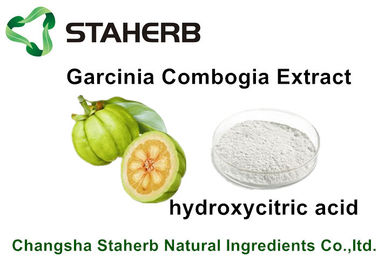 China Gewicht verlierende Garcinia-Gummigutt-Auszug Hydroxycitric-Säure HCA für gesunde Sorgfalt fournisseur