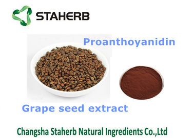 China Traubenkernextrakt-diätetische Ergänzungs-geeignete Gesundheitswesen-Antioxidansprodukte fournisseur