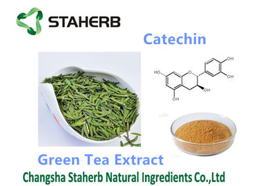 China Antioxidanspulver des grüner Tee-Auszug-diätetische Ergänzungs-Katechin-50-98% fournisseur