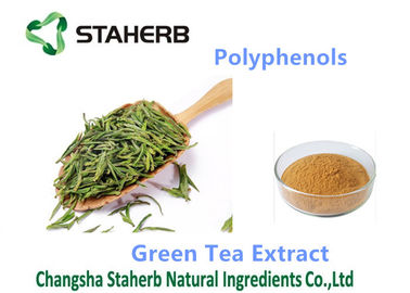 China Gelbes Brown-Pulver-Antioxidanspulver-Ergänzungs-Polyphenole 98% Cas 84650-60-2 fournisseur