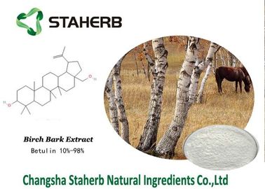 China Birkenrinde-Auszug-organische Make-upbestandteile, Naturschönheits-Bestandteile fournisseur
