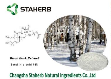 China Rohstoff-Birkenrinde-Pulver Betulin-Säure-Wirkstoff Pharma fournisseur